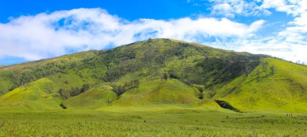 Panorama Padang Rumput Luas di Negeri Tropis yang Memikat dan Sarat Makna